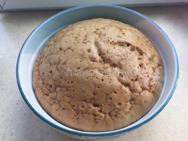 关火后不能马上打开煲盖，定好型5分钟后可以打开拿出来。