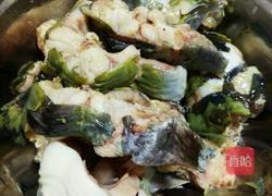 鲶鱼炖豆腐的做法图解4