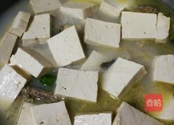 鱼炖豆腐的做法图解10