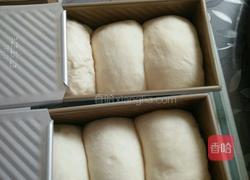 经典奶香土司的做法图解4