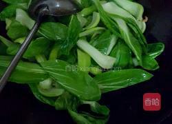 海米油菜的做法图解5