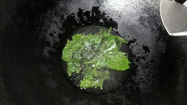 紫苏叶抄水