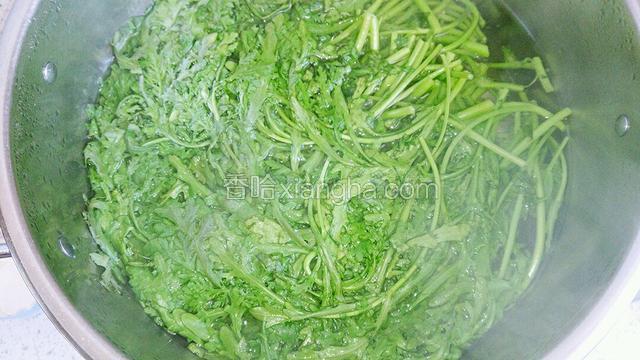 锅里水烧开，把茼蒿焯熟