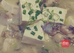 鱼炖豆腐的做法图解14