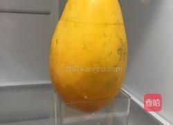 木瓜牛奶冻的做法图解4