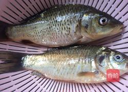 萝卜丝炖鲫鱼汤的做法图解1