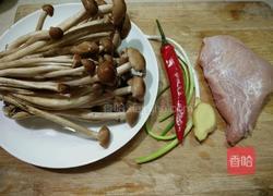 鲜茶树菇炒肉的做法图解1