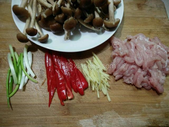 茶树菇在流水下冲洗干净，其它材料也洗净:瘦肉切丝，姜切丝，红椒切粗条，葱切段