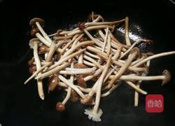 鲜茶树菇炒肉的做法图解5