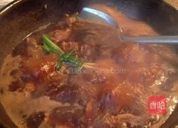 西红柿牛腩煲的做法图解4