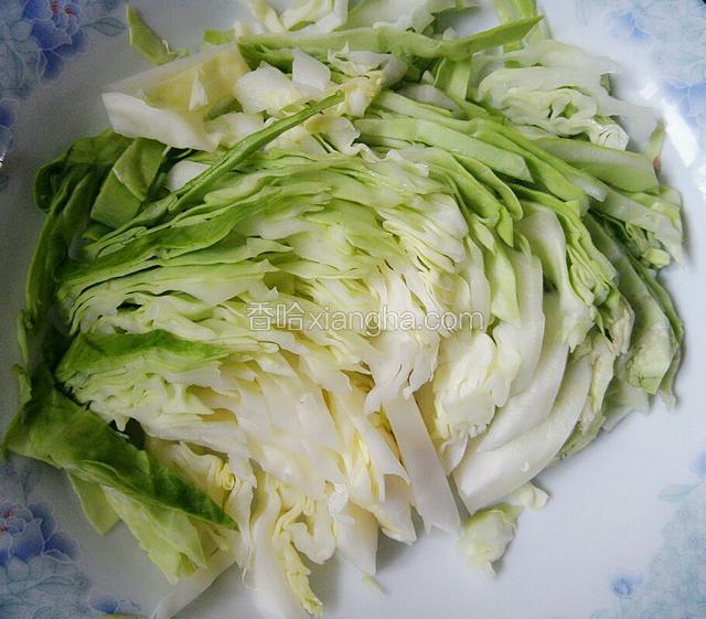 包菜切丝