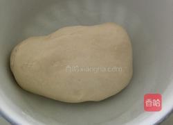 鲜肉小笼包的做法图解4