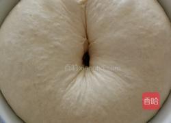 鲜肉小笼包的做法图解6