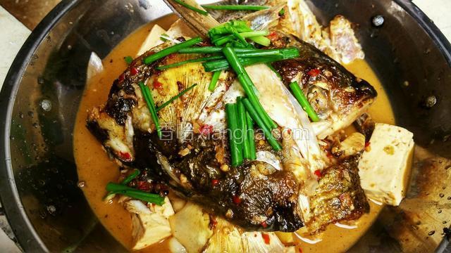 豆腐烧鲢鱼