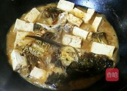 豆腐烧鲢鱼的做法图解8