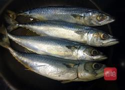 家常炖鲅鱼的做法图解3