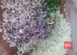 美味蒸饺的做法图解3