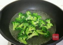 蒜蓉耗油西兰花的做法图解4