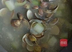 蛤蜊冬瓜汤的做法图解7