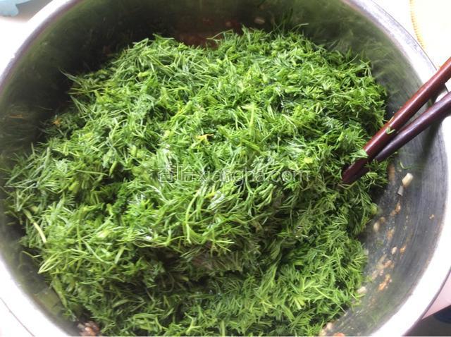 放入切碎的茴香，加熟油搅拌均匀