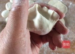 茴香苗素水饺的做法图解13