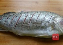 清蒸鲈鱼的做法图解2