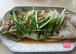 清蒸鲈鱼的做法图解8