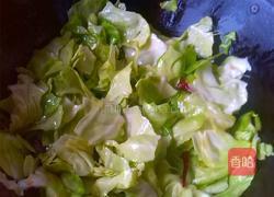 蚝油手撕包菜的做法图解5