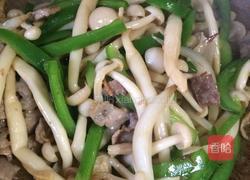 肉炒蘑菇的做法图解9