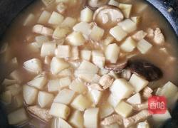 鸡块炖土豆的做法图解16