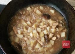 鸡块炖土豆的做法图解17