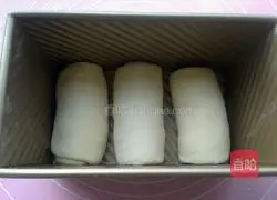 Illustration of how to make advanced milky toast bread 8