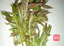 香椿面的做法图解1