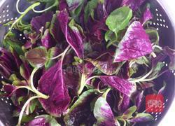 蒜香苋菜的做法图解1