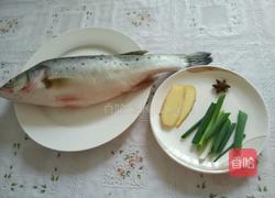 红烧鲈鱼的做法图解1