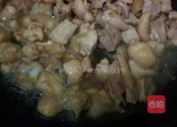 家常烧鸡的做法图解5