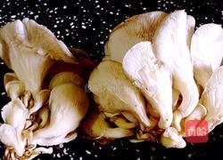 炸蘑菇的做法图解1