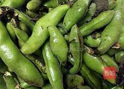 蒜香蚕豆的做法图解1