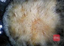 爆炒牛蛙的做法图解6