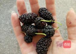 桑葚泡酒的做法图解2