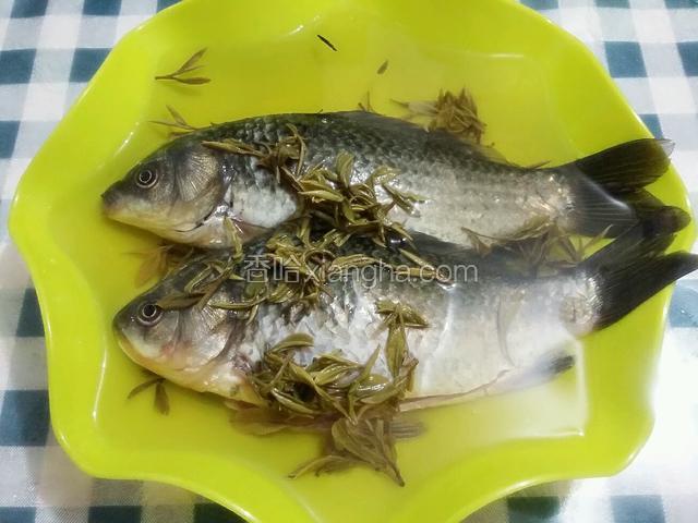 学哈友经验用茶叶水去腥味；