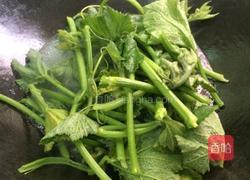 水煮南瓜苗的做法图解4