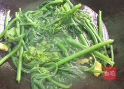 水煮南瓜苗的做法图解5