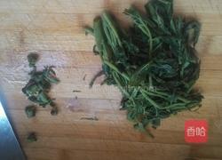 香椿咸菜的做法图解4