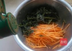 香椿咸菜的做法图解7