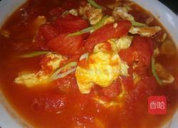 西红柿鸡蛋的做法图解6