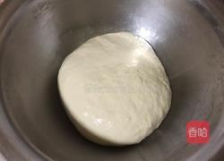 自制家庭无矾碱油条的做法图解5