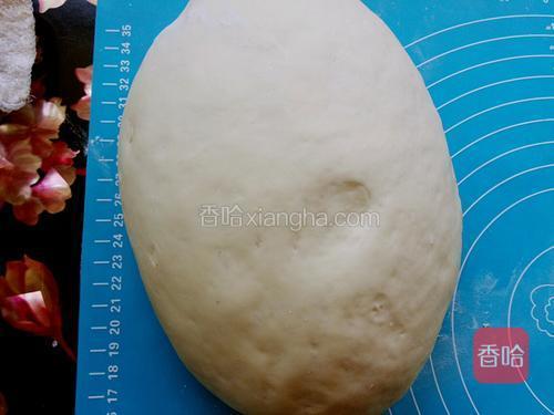 揉好再饧10分钟