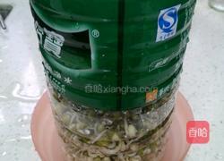 自制绿豆芽的做法图解5