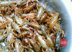 麻辣龙虾尾的做法图解1